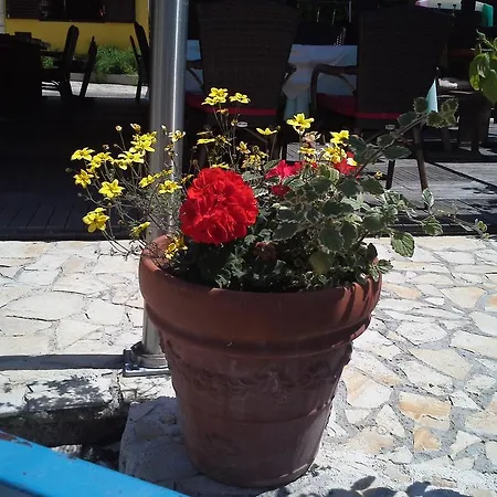 Apartment Bonaca Petrcane
